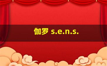 伽罗 s.e.n.s.